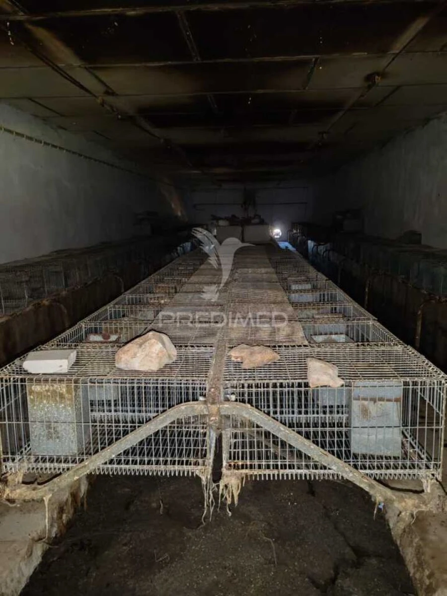 Armazém para Venda em Aljubarrota Foto 5