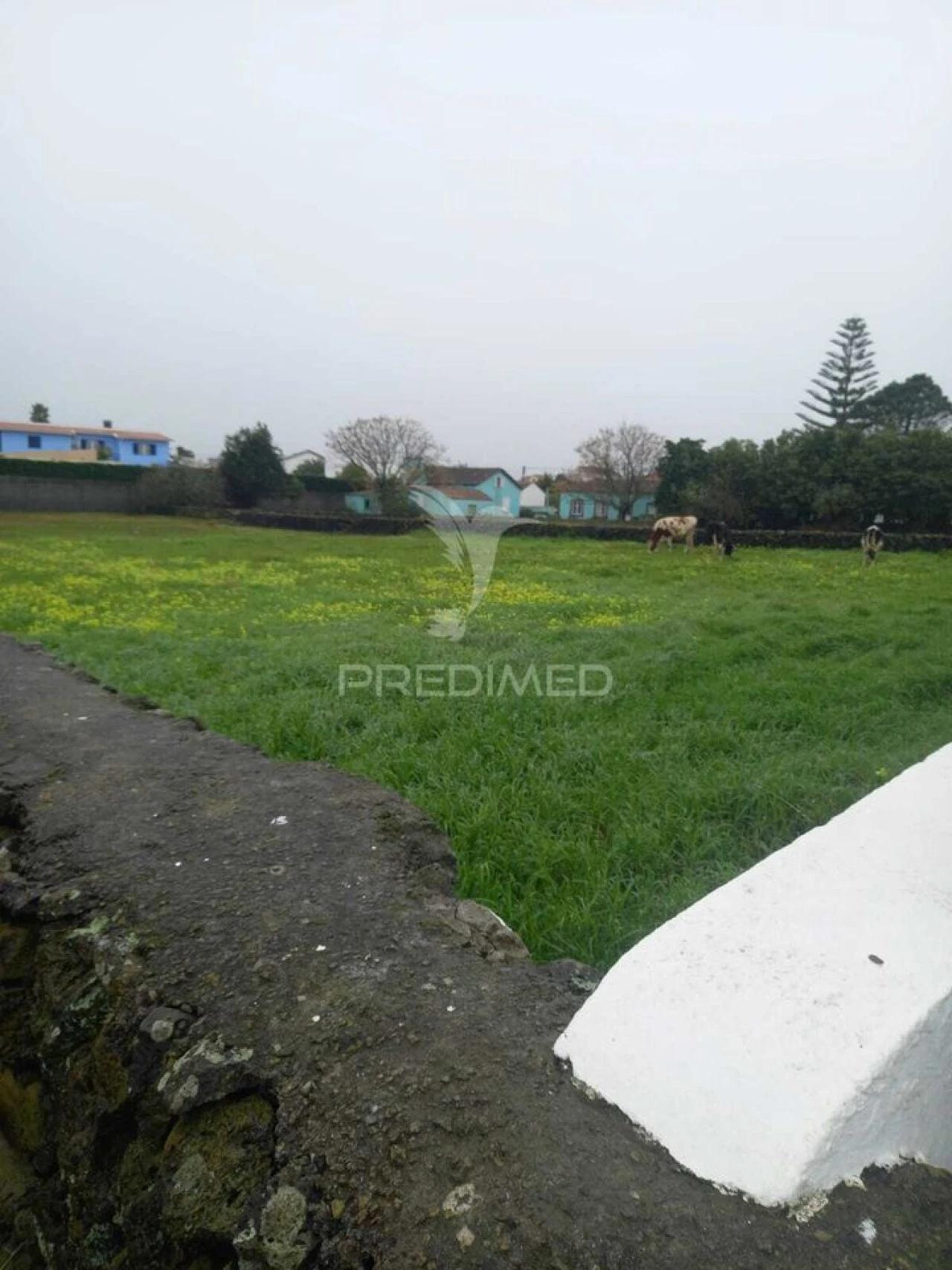 Terreno para Venda em Lajes Foto 3