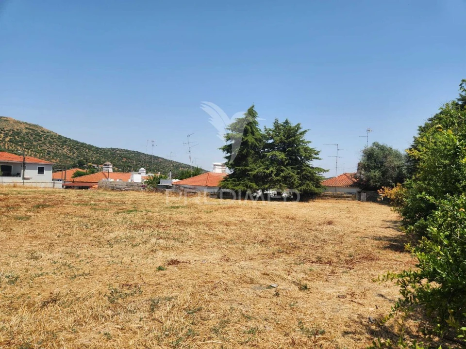 Quinta T6 para Venda em Caia, São Pedro e Alcáçova Foto 5