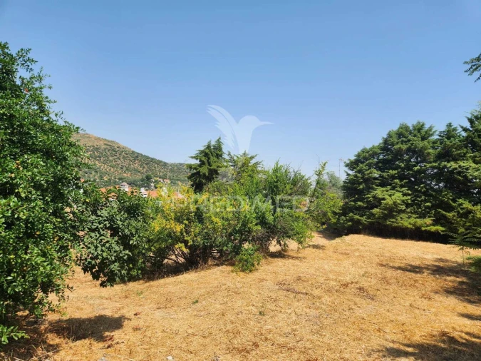 Quinta T6 para Venda em Caia, São Pedro e Alcáçova Foto 8