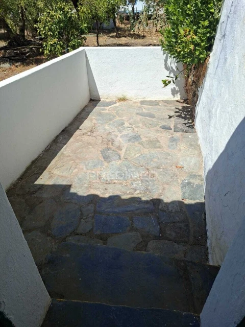 Moradia T2 para Venda em Terena (São Pedro)