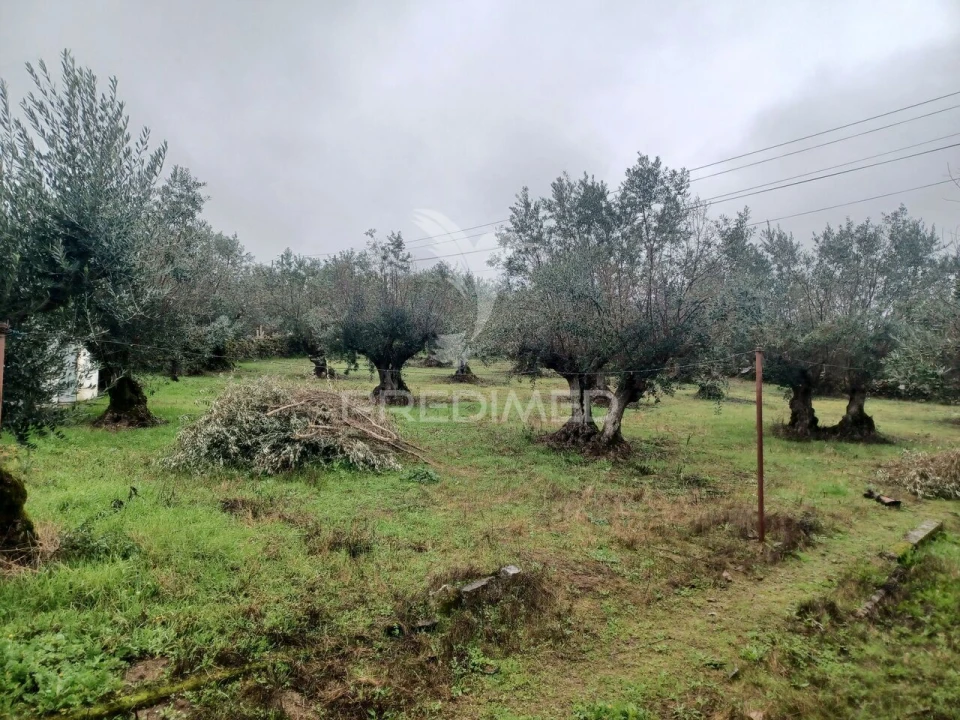 Quinta T2 para Venda em Urra Foto 14