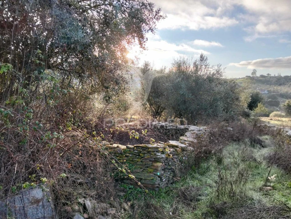 Moradia T2 para Venda em Terena (São Pedro) Foto 25