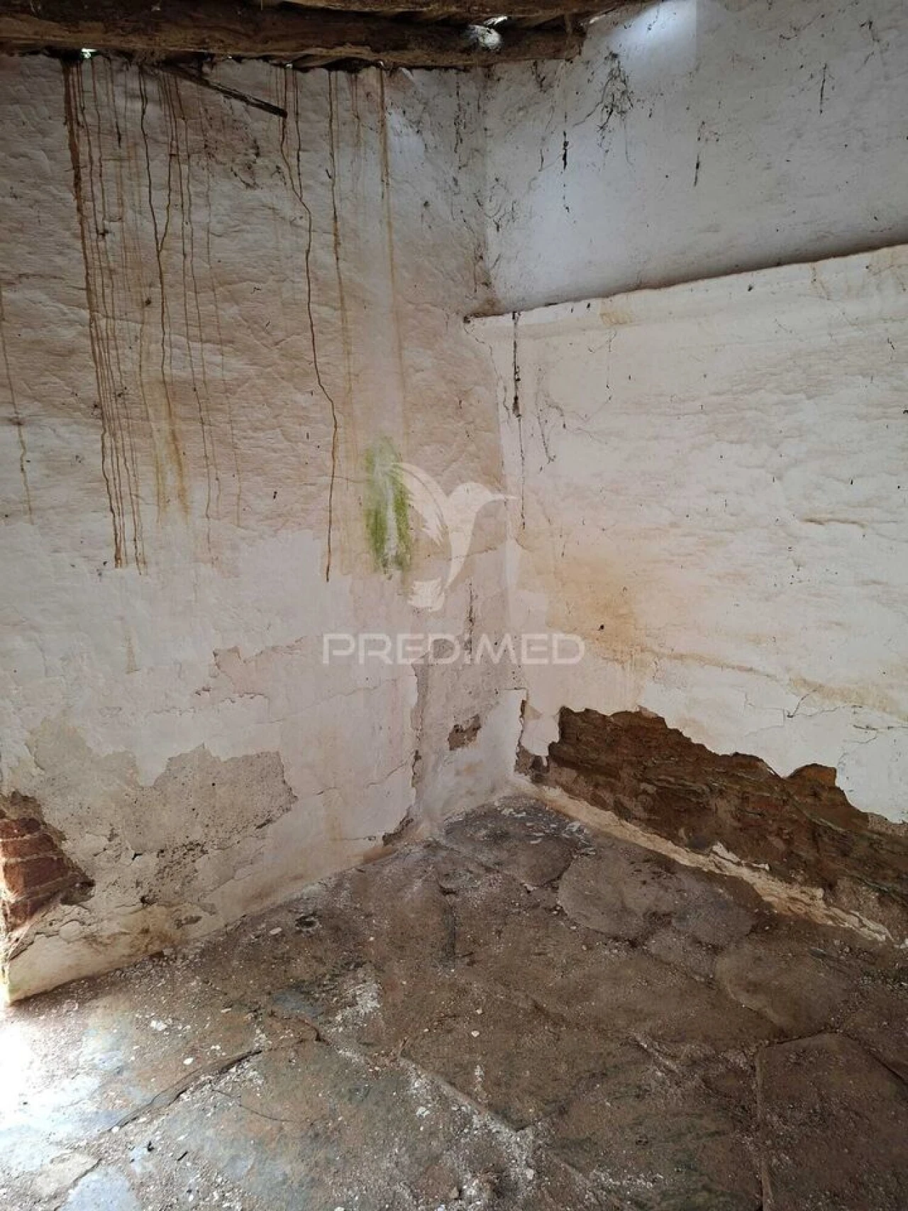 Moradia T2 para Venda em Terena (São Pedro) Foto 18