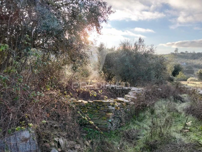 Moradia T2 para Venda em Terena (São Pedro) Foto 25