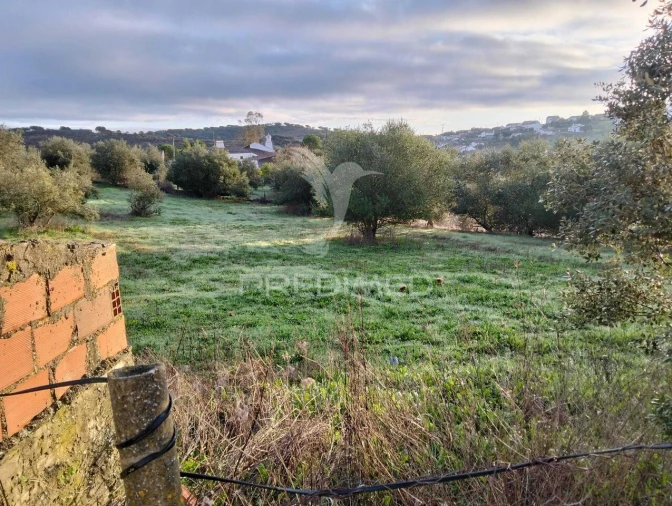 Moradia T2 para Venda em Terena (São Pedro) Foto 27