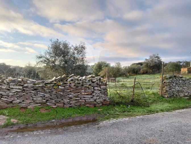 Moradia T2 para Venda em Terena (São Pedro) Foto 23