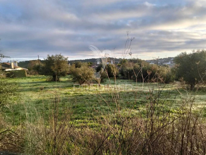 Moradia T2 para Venda em Terena (São Pedro) Foto 28