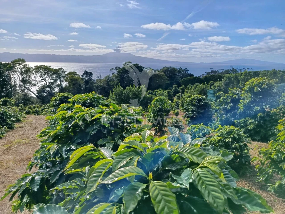 Terreno para Venda em Urzelina (São Mateus) Foto 7