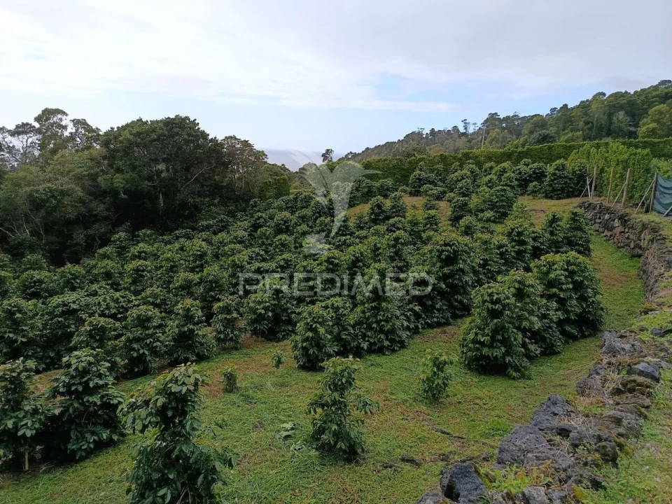 Terreno para Venda em Urzelina (São Mateus) Foto 1