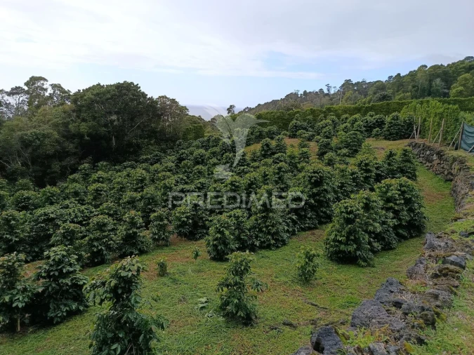 Terreno para Venda em Urzelina (São Mateus) Foto 1