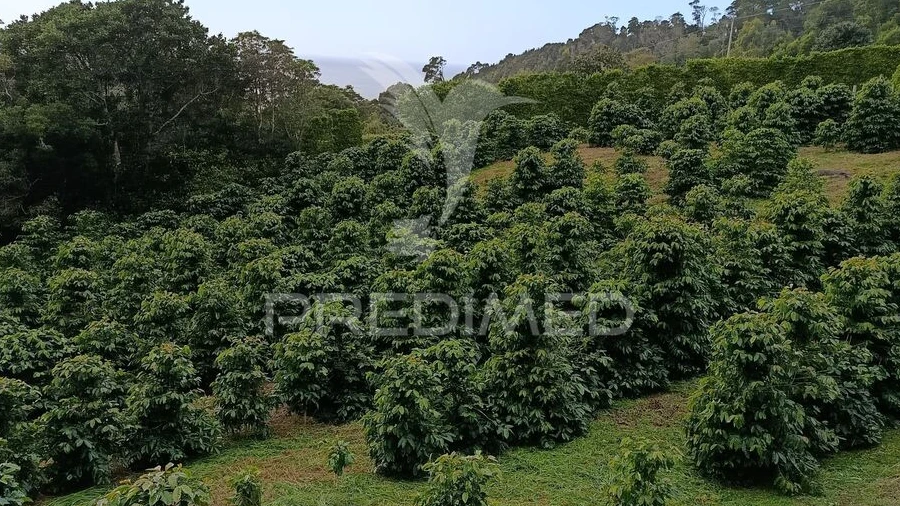 Terreno para Venda em Urzelina (São Mateus)