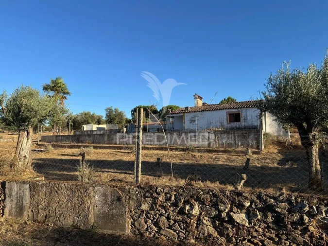 Quinta T3 para Venda em Fortios Foto 8