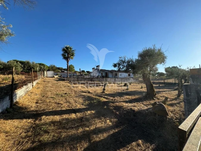 Quinta T3 para Venda em Fortios Foto 14