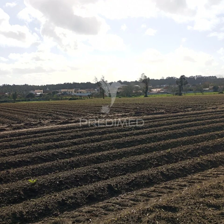 Terreno para Venda em Ílhavo (São Salvador) Foto 1