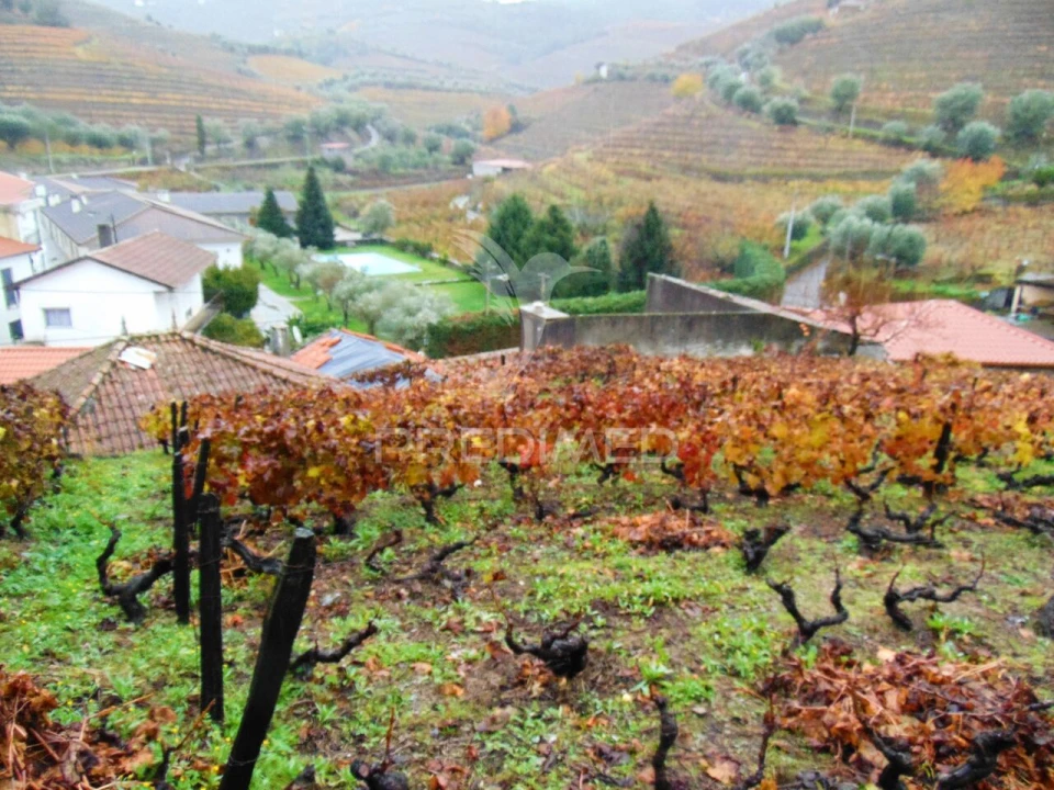 Moradia T3 para Venda em Abaças Foto 21