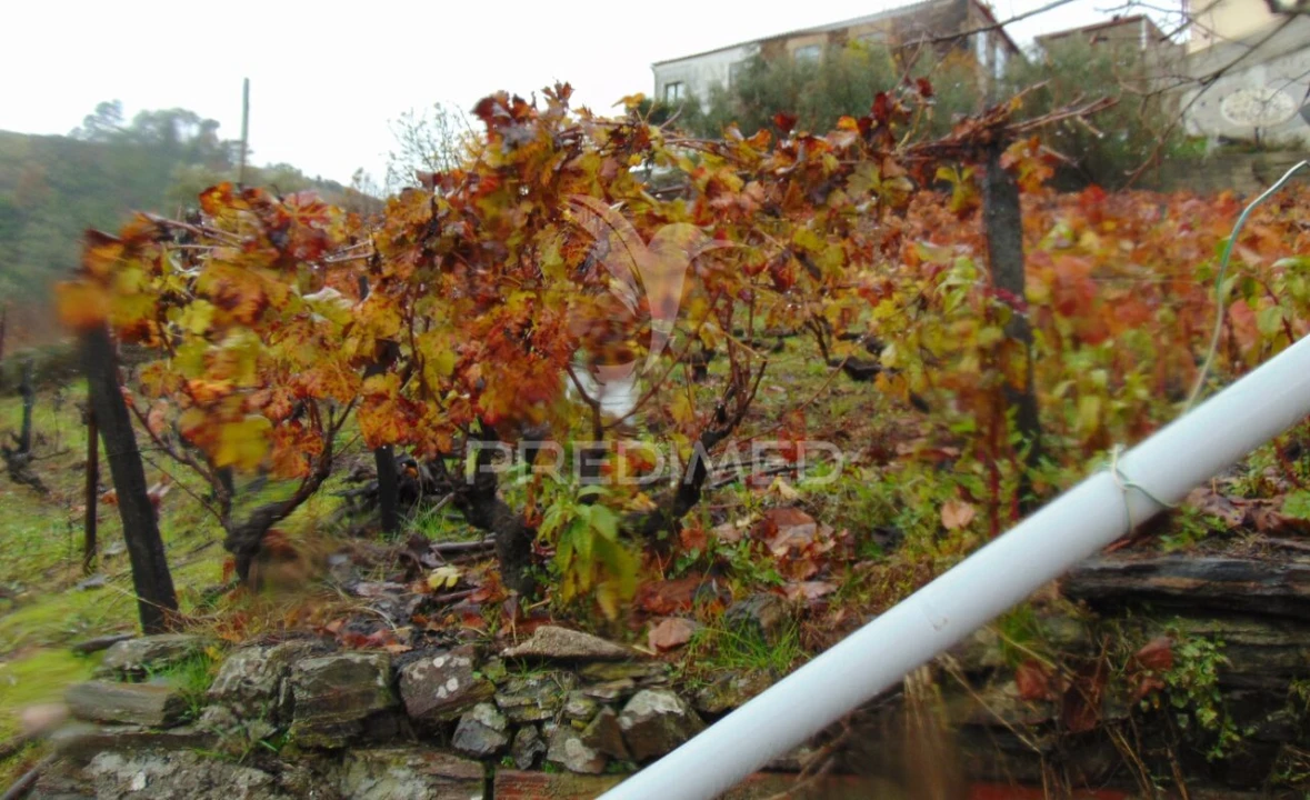 Moradia T3 para Venda em Abaças Foto 20