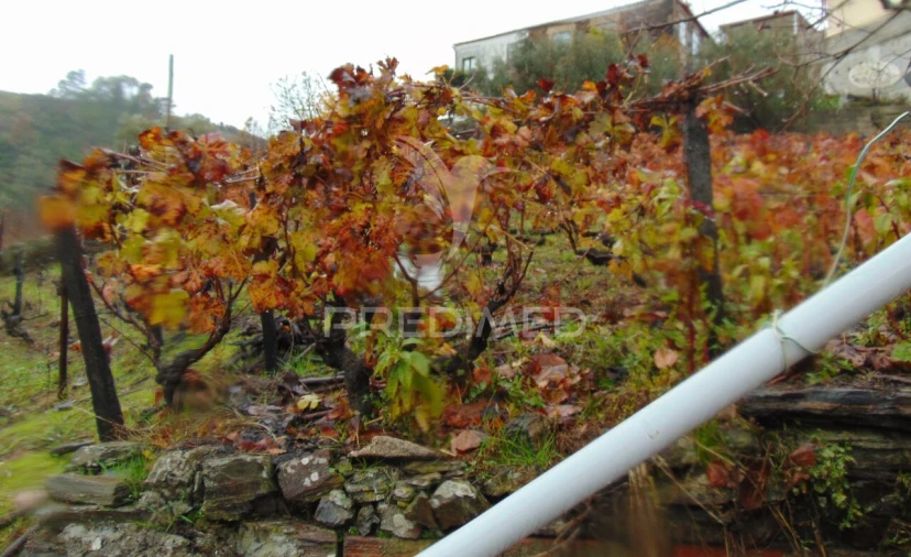 Moradia T3 para Venda em Abaças Foto 20