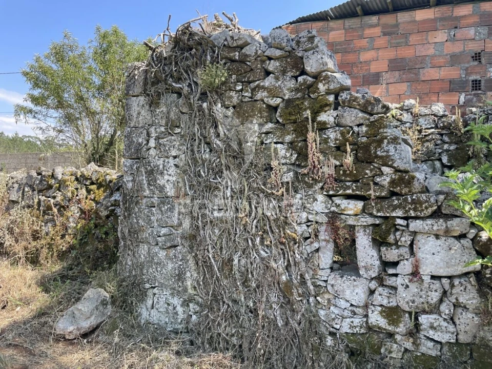 Moradia T2 para Venda em São Mamede Foto 2