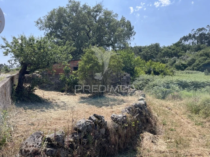 Moradia T2 para Venda em São Mamede Foto 6