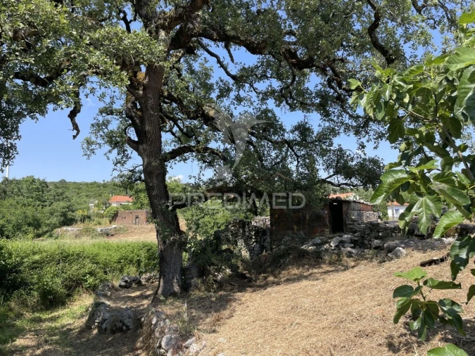 Moradia T2 para Venda em São Mamede Foto 12