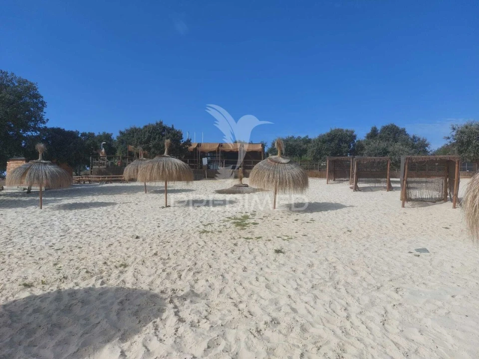 Quinta T3 para Venda em Alvito Foto 33