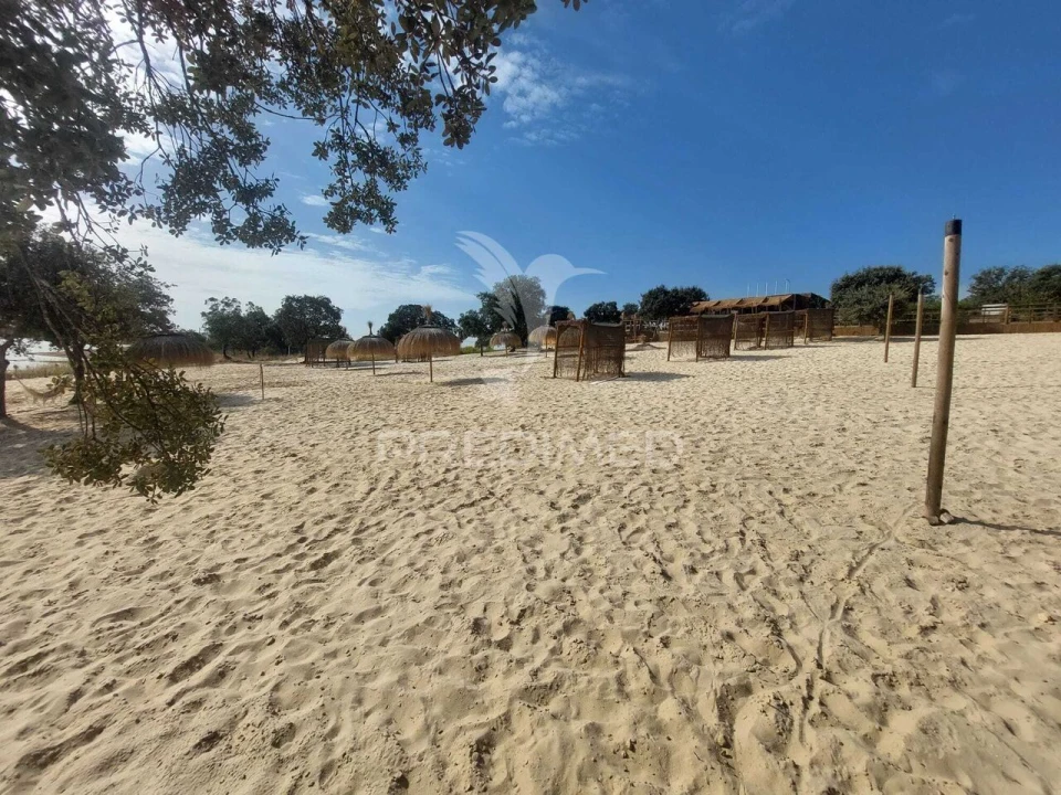 Quinta T3 para Venda em Alvito Foto 39