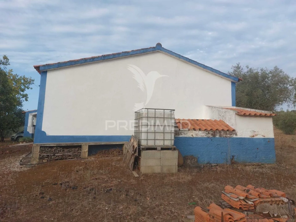 Quinta T3 para Venda em Alvito Foto 6