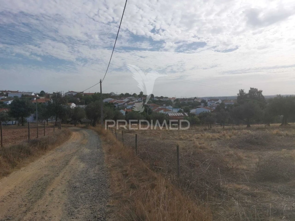 Quinta T3 para Venda em Alvito Foto 15