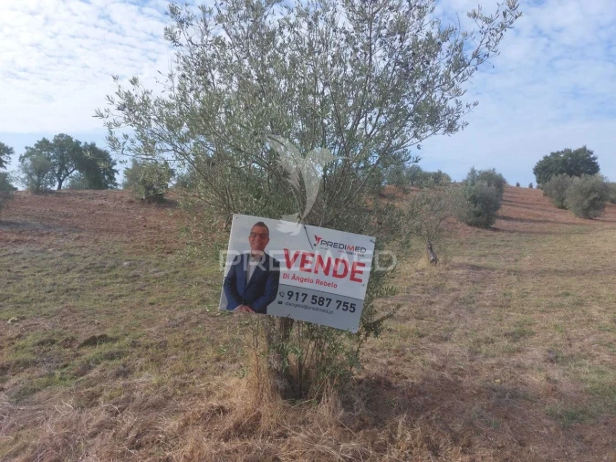 Quinta T3 para Venda em Alvito Foto 13