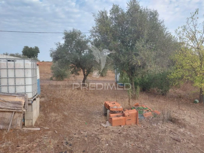 Quinta T3 para Venda em Alvito Foto 7