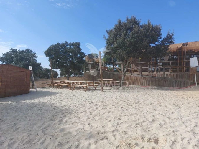 Quinta T3 para Venda em Alvito Foto 38