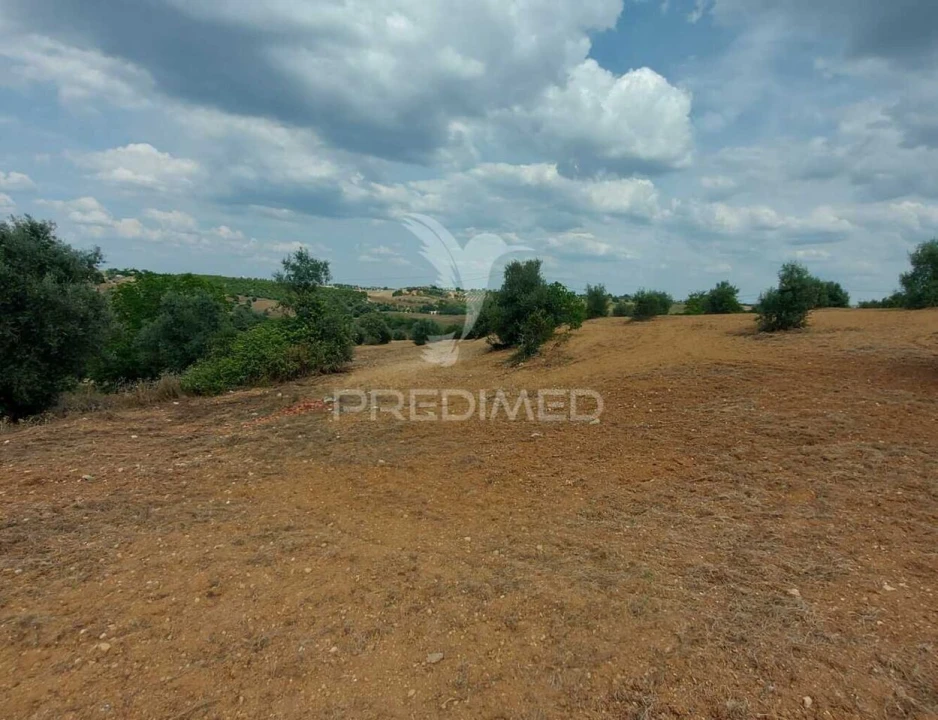 Terreno para Venda em Abitureiras Foto 10