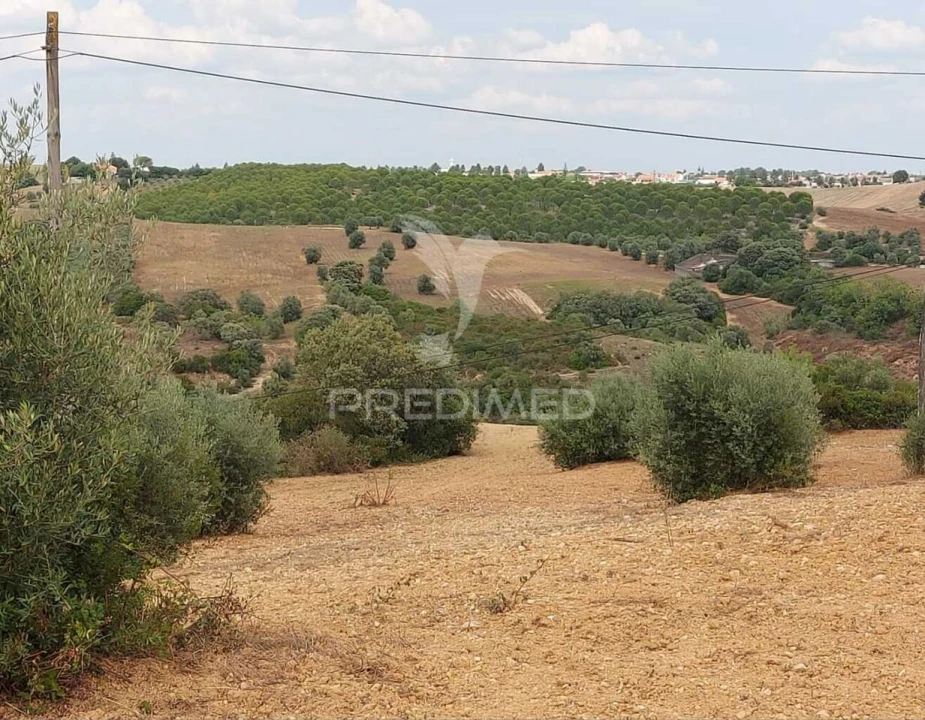 Terreno para Venda em Abitureiras Foto 12