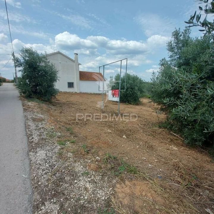 Terreno para Venda em Abitureiras Foto 5