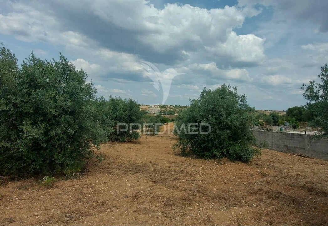 Terreno para Venda em Abitureiras Foto 7