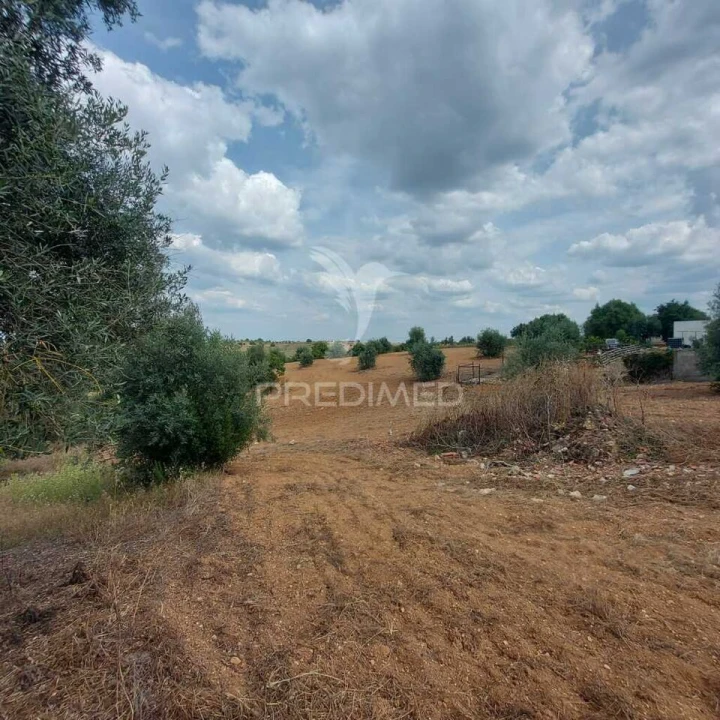 Terreno para Venda em Abitureiras Foto 8