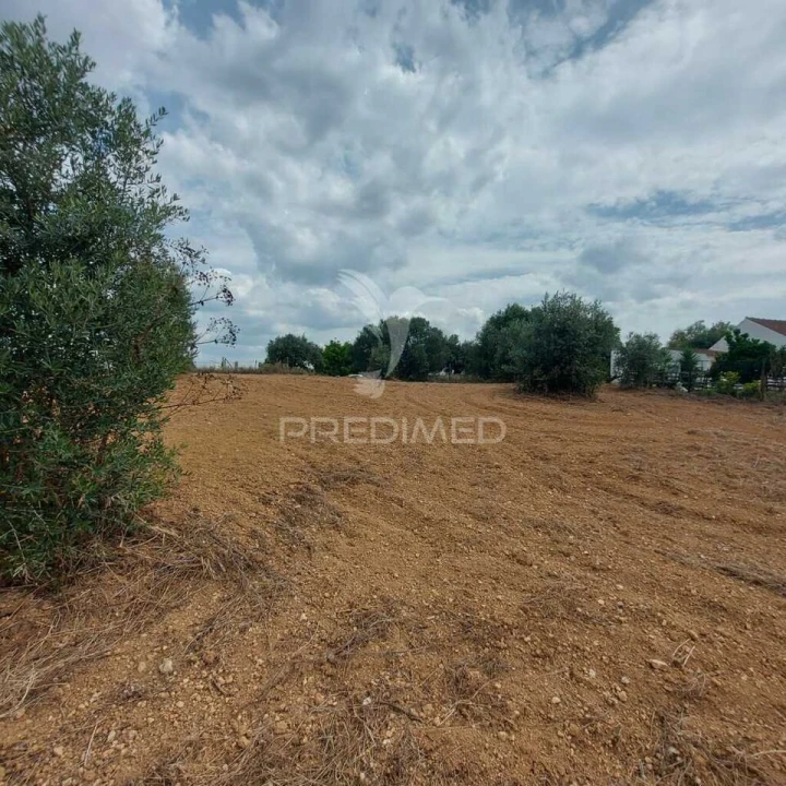 Terreno para Venda em Abitureiras Foto 11