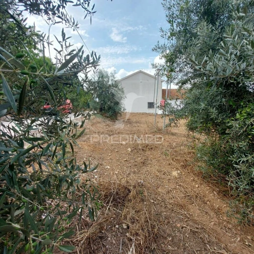 Terreno para Venda em Abitureiras Foto 4