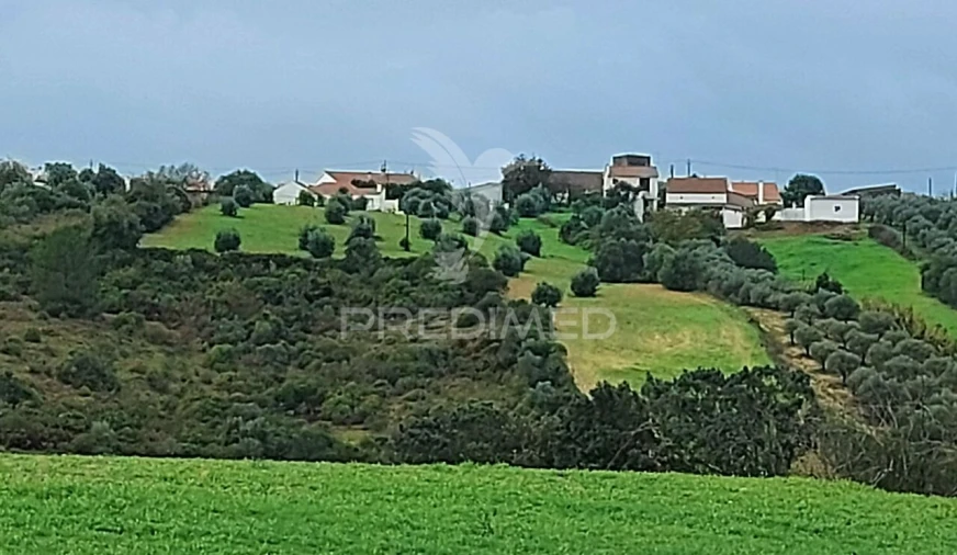 Terreno para Venda em Abitureiras Foto 13