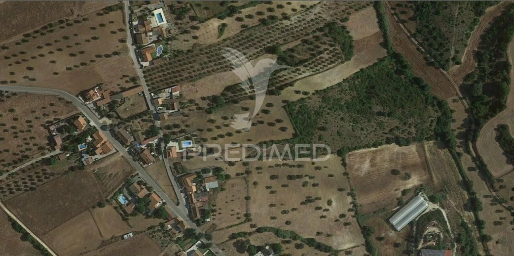Terreno para Venda em Abitureiras Foto 14