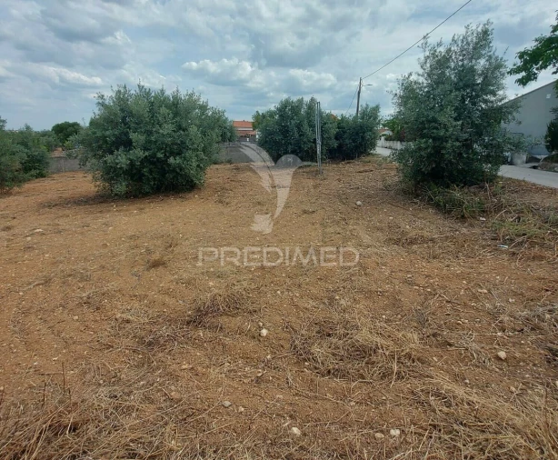 Terreno para Venda em Abitureiras Foto 6