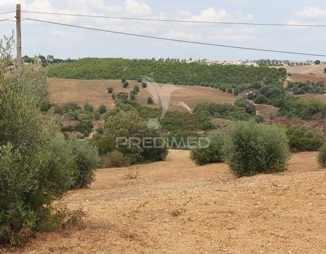 Terreno para Venda em Abitureiras Foto 12