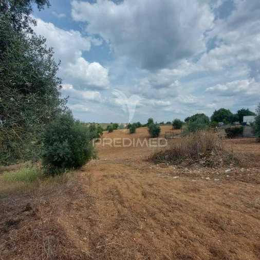 Terreno para Venda em Abitureiras Foto 8