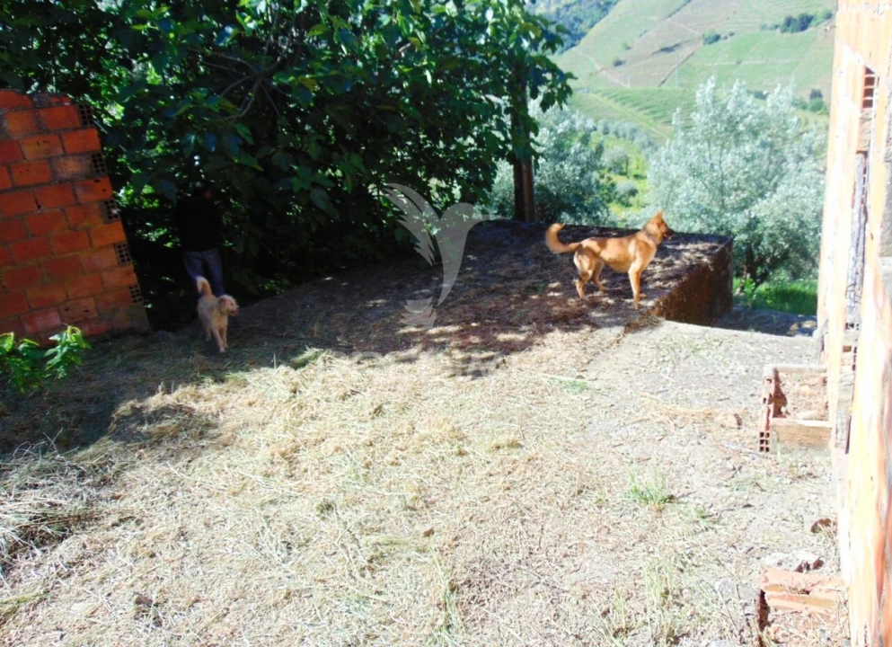 Moradia T4 para Venda em Abaças Foto 19