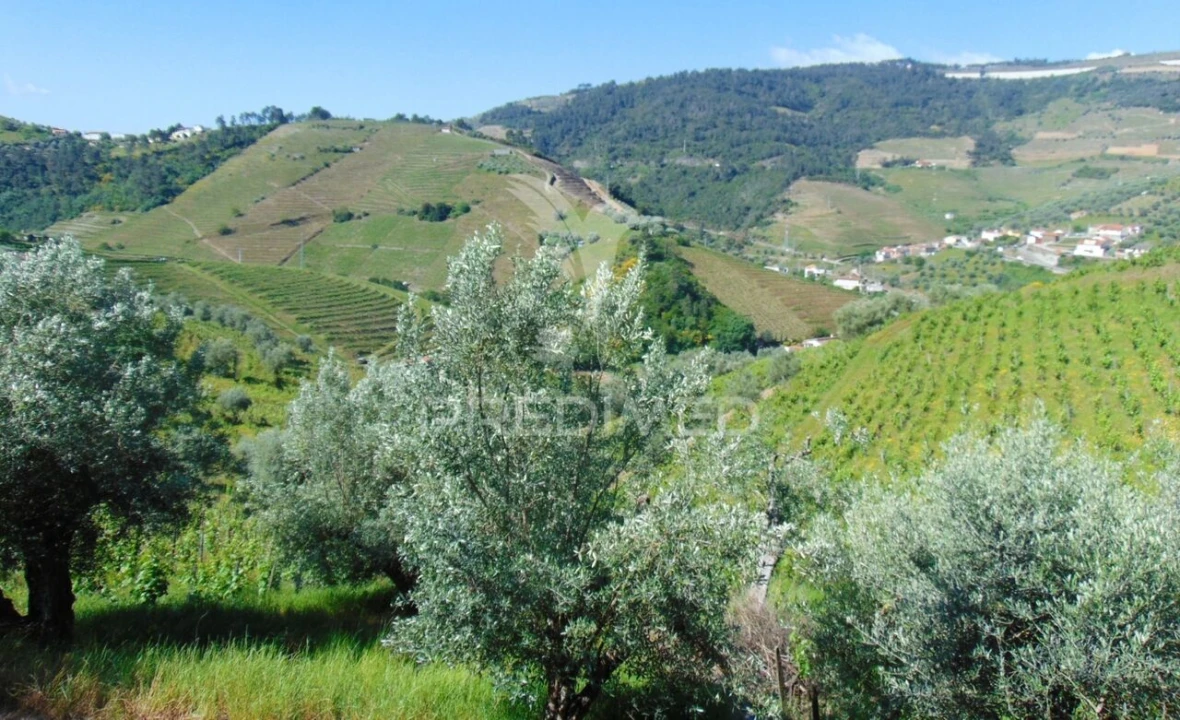 Moradia T4 para Venda em Abaças Foto 34