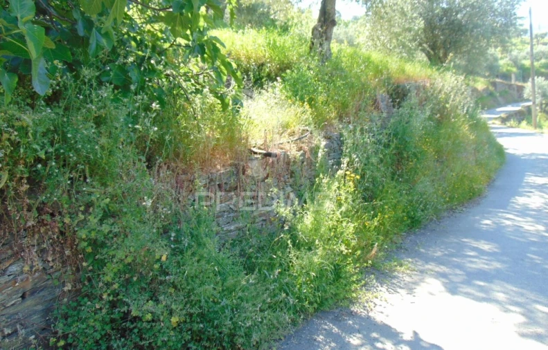 Moradia T4 para Venda em Abaças Foto 32