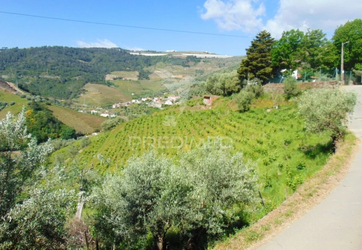 Moradia T4 para Venda em Abaças Foto 33