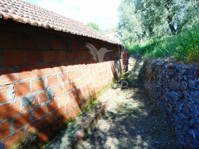 Moradia T4 para Venda em Abaças Foto 18