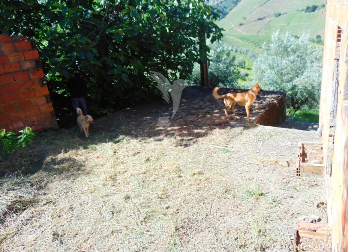 Moradia T4 para Venda em Abaças Foto 19